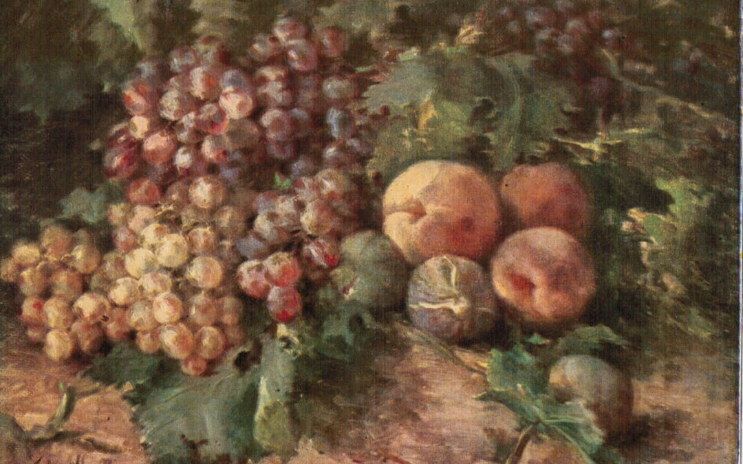 Fruta del tiempo