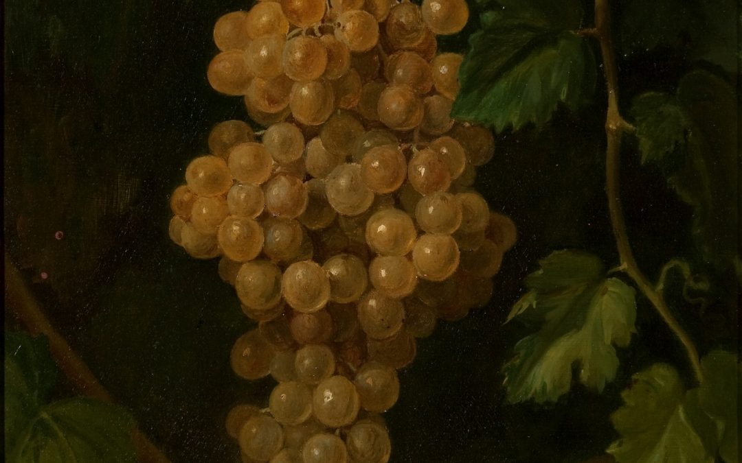 Un racimo de uvas