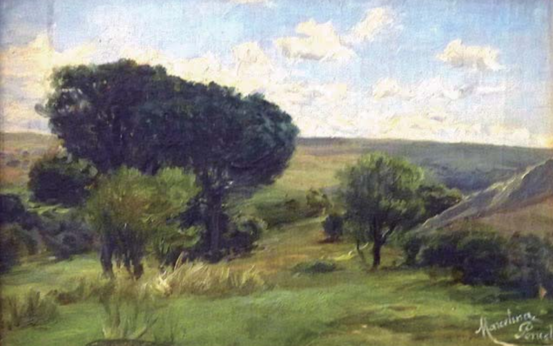 Camino del Pardo