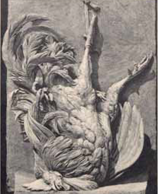Gallo muerto
