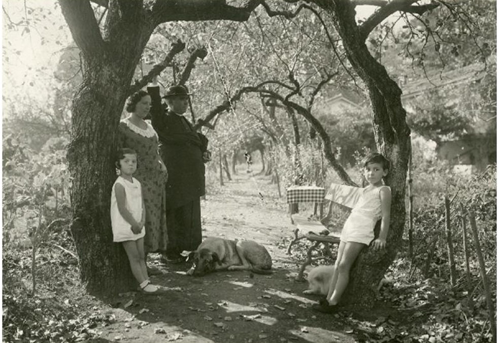 Retrato en un jardín